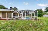 389 Big Tree Road - Photo 38