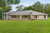 389 Big Tree Road - Photo 41