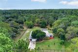 389 Big Tree Road - Photo 42