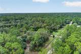 389 Big Tree Road - Photo 44