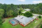 389 Big Tree Road - Photo 46