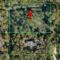 19037 Parakeet Road - Photo 2