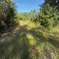 19037 Parakeet Road - Photo 4