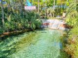19535 77TH Loop - Photo 81