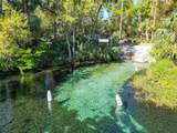 19535 77TH Loop - Photo 82