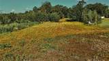 00 Hall Lake Road - Photo 15