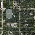 0 146 LANE Road - Photo 4