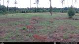 00 99TH Lane - Photo 12