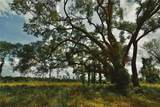00 99TH Lane - Photo 15