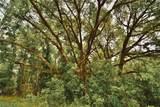 00 99TH Lane - Photo 16