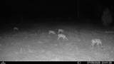 00 99TH Lane - Photo 18