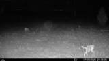 00 99TH Lane - Photo 21