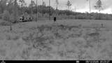 00 99TH Lane - Photo 22