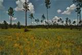 00 99TH Lane - Photo 24