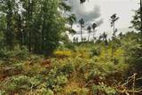 00 99TH Lane - Photo 45
