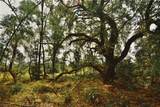 00 99TH Lane - Photo 7