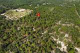 10686 Statue Point - Photo 12