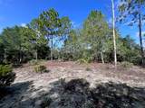 10686 Statue Point - Photo 21
