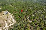 10686 Statue Point - Photo 3