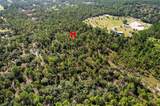 10686 Statue Point - Photo 8