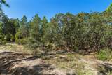 10806 Statue Point - Photo 13