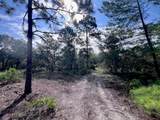 10806 Statue Point - Photo 18