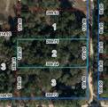 Lot 2 100TH Court - Photo 2