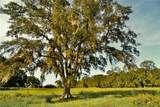 4802 50TH Road - Photo 10