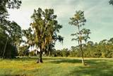 4802 50TH Road - Photo 13