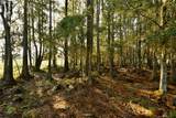 4802 50TH Road - Photo 16