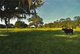 4802 50TH Road - Photo 18