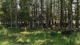 4802 50TH Road - Photo 19