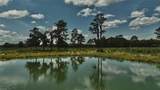 4802 50TH Road - Photo 2
