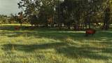 4802 50TH Road - Photo 3