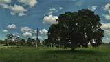 4802 50TH Road - Photo 36