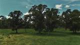 4802 50TH Road - Photo 37