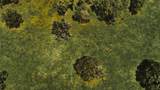 4802 50TH Road - Photo 46