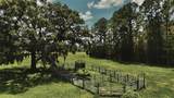 4802 50TH Road - Photo 7