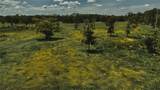 4802 50TH Road - Photo 9