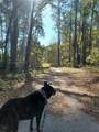 19199 92ND Loop - Photo 70