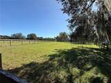 10661 Highway 40 - Photo 15