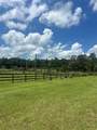 10661 Highway 40 - Photo 20