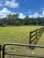 10661 Highway 40 - Photo 21