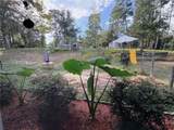 1671 Amberjack Drive - Photo 12