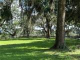 6597 Highway 326 - Photo 15