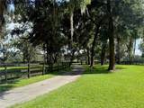 6597 Highway 326 - Photo 16
