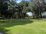 6597 Highway 326 - Photo 49