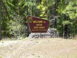  Buena Vista Road - Photo 5