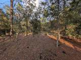  Buena Vista Road - Photo 7