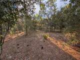 Buena Vista Road - Photo 8